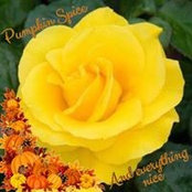 Dawn McCulley's photo