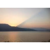 Cynthia Overall's photo