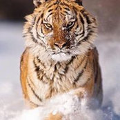 Rashid Azar's photo