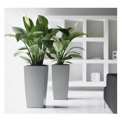 Modern Planter - Products