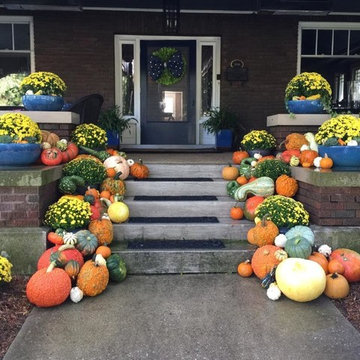 Fall Landscaping