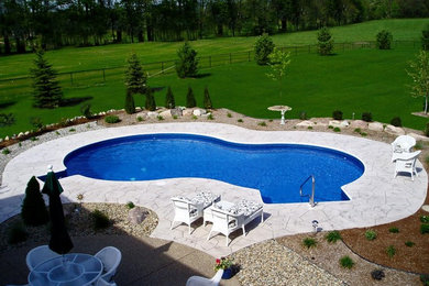 Example of a large backyard custom-shaped pool design in Grand Rapids