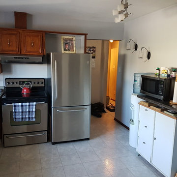 Winnipeg Transitional Kitchen Paint