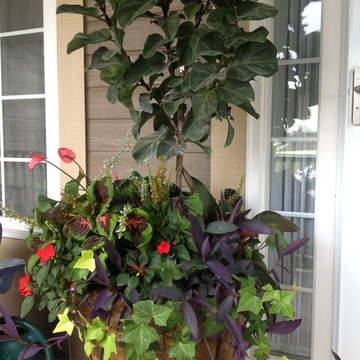Summer Containers