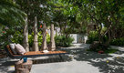 Outdoor & Garden