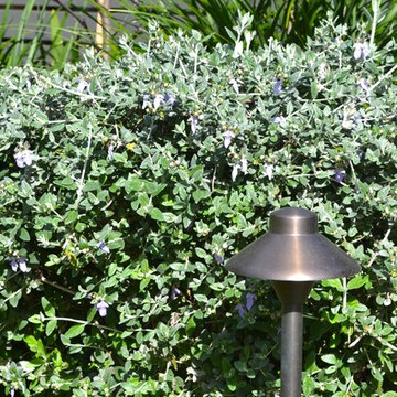 Tusmore Garden Revamp