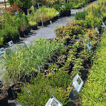 Retail Nursery