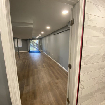 Lucille Ln Basement Remodel