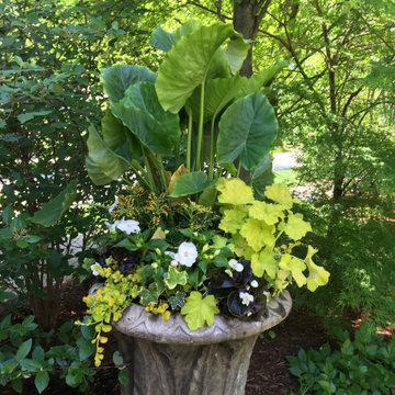 Upscale Landscape Renewal and Remake