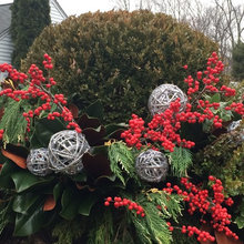 Christmas Planters