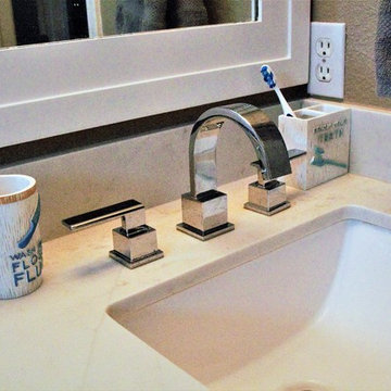 Guest and Spare Bathroom Remodel