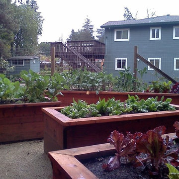 Vegetable Boxes