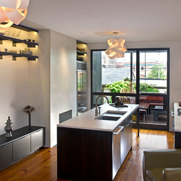 Mexican War Street Kitchen Remodel