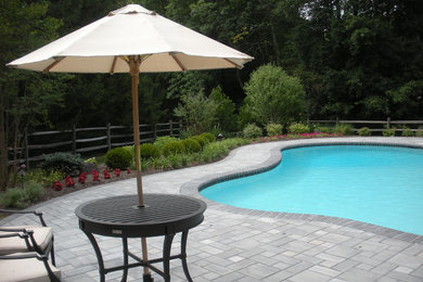 Pool Planting Design and Patio