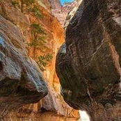 Clay Graham's photo