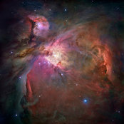 Christopher Kilmurray's photo