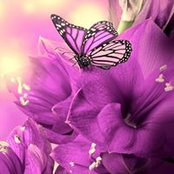 Barb Worley's photo