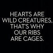 Heather Madden's photo