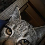 Kat Lakie's photo