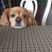 Kate Fulton Stoneham's photo