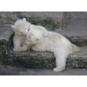 Joanne Perrier's photo