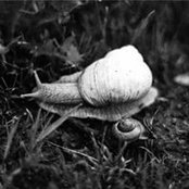 Sara Lindner's photo
