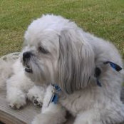 Lloyd Trimble's photo