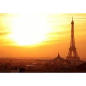 Michael Mezalick's photo
