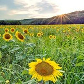 Dolores Spero's photo