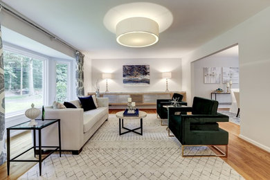 Living room - transitional living room idea in DC Metro