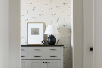 Transitional home design photo in Minneapolis