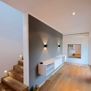 Создайте стильный интерьер: фойе среднего размера в стиле модернизм с серыми стенами и паркетным полом среднего тона - последний тренд