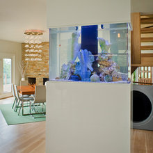 Fish Tank