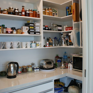 Large contemporary kitchen pantry ideas - Example of a large trendy galley light wood floor kitchen pantry design in Dunedin with an undermount sink, flat-panel cabinets, white cabinets, quartz countertops, blue backsplash, glass sheet backsplash, stainless steel appliances and an island