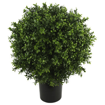 23.5" Boxwood Topiary