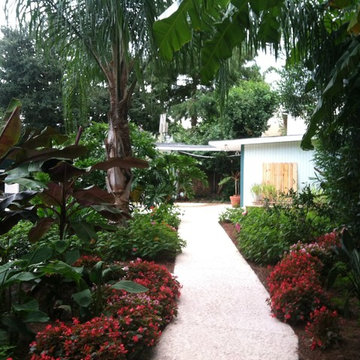 Midcity Tropical