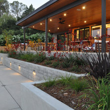 Planting Bed Below Parking