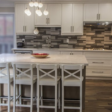 Mississauga Whole House Renovation