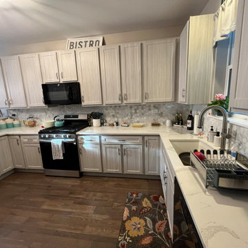 Transitional Kitchen Remodel Done in Swiss Elm Skye Cabinets