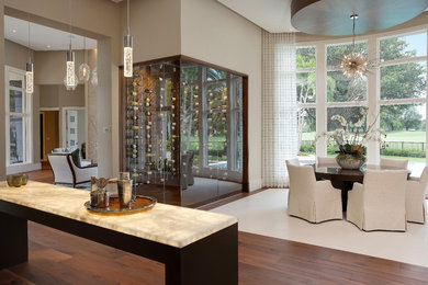 This is an example of a large transitional wine cellar in Miami with dark hardwood floors, storage racks and brown floor.