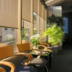 Roller Shades - Commercial Blinds and Shades - Window Treatments