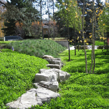 Northern Grassy Knoll