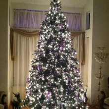 christmas trees