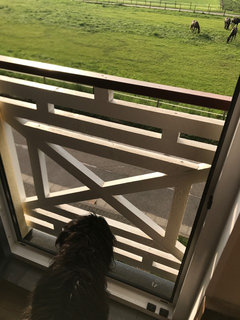 Gestaltung Treppenaufgang