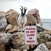 Nancy Pantz's photo