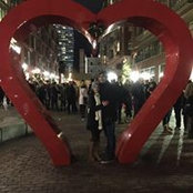 Vanessa Galluzzo's photo