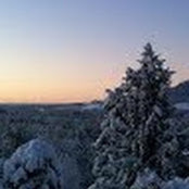 Zach Crandall's photo
