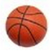 andy gottliebs billede