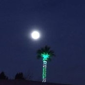 Daniel Bacon's photo