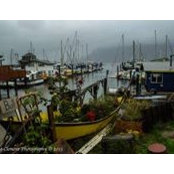 Chris Davis's photo